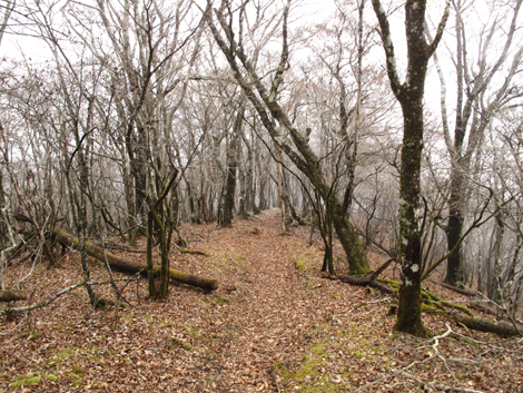 20181205hike (95)